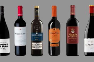 Mejores vinos tinto según la OCU